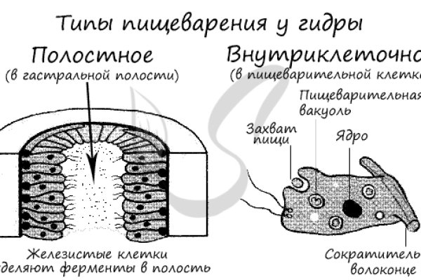 Магазин kraken даркнет