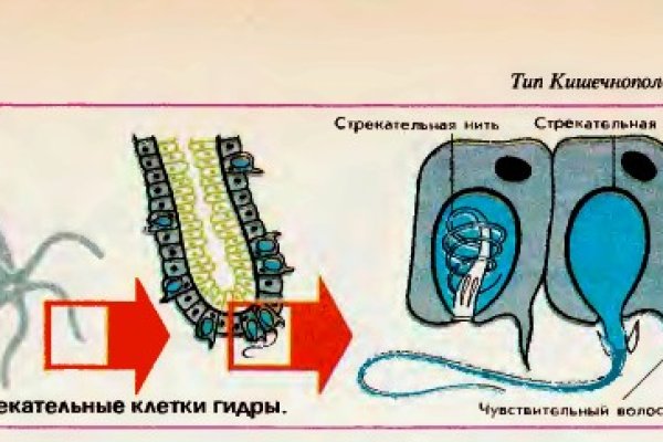 Кракен сайт вход