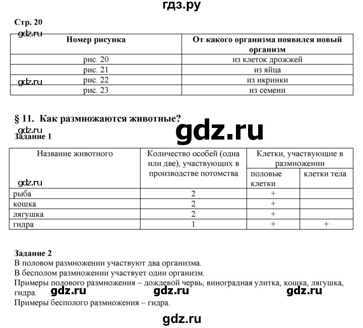 Кракен даркнет регистрация